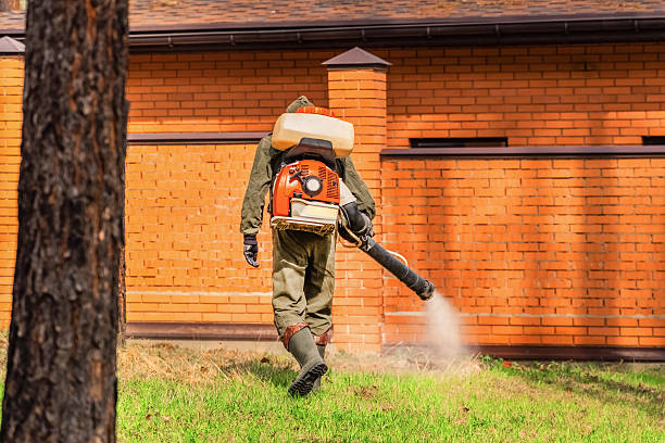 Bed Bug Clearance Verification and Documentation in West Falls Church